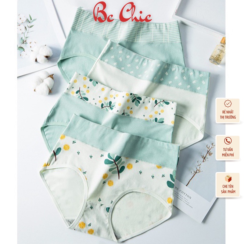Set 4 quần lót nữ cotton cạp cao giấu bụng, gen bụng Q6108 BC_CHIC LINGERIE