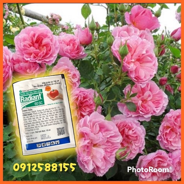 Chế phẩm sinh học Radiant 60sc bảo về các loại cây trồng ( gói 15ml )