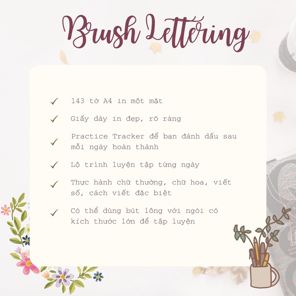 Workbook 4 Tuần Luyện Tập Brush Lettering, Worksheet Tập Viết Calligraphy Có Lộ Trình Hàng Ngày