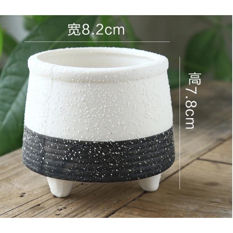 Chậu sứ trồng cây trắng đen