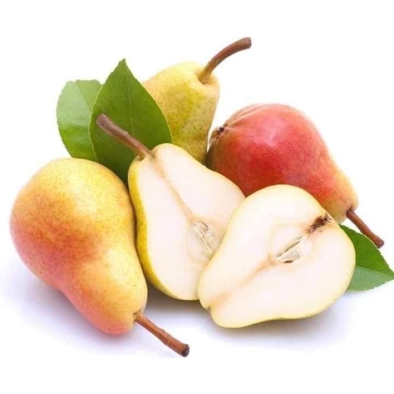 Cây giống Lê Nam Phi