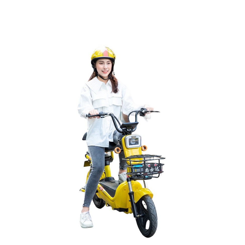 THANH LÝ - Xe đạp điện TẶNG FULL PHỤ KIÊN- XE ĐIỆN NEWBEER 2023