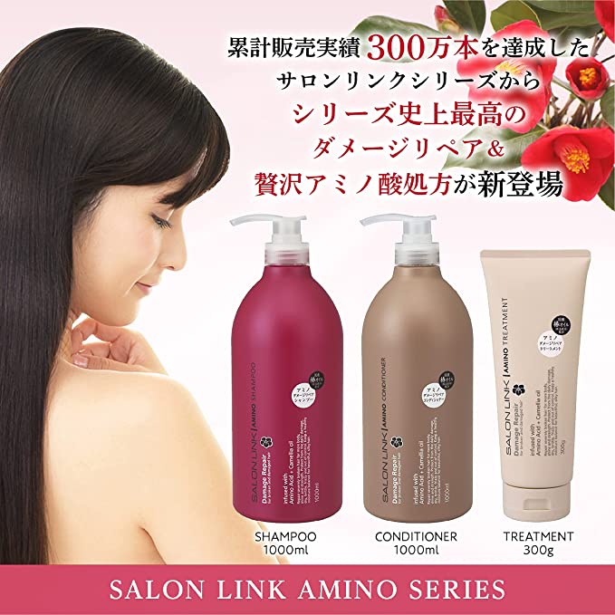 Bộ Dầu Gội, Xả Hoa Trà Phục Hồi Tóc Hư Tổn Salon Link Salonlink Damage & Repair 1000ml Nhật Bản