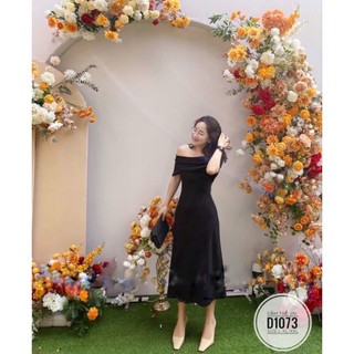 Đầm Big Size (55kg đến 100kg)
