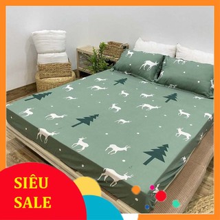 Bộ Ga trải giường , Ga trải giường cotton Poly 1m6 x 2m , bộ ga gối rẻ đẹp