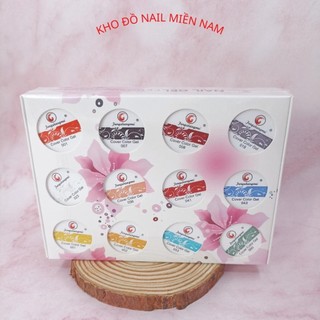 Set gel vẽ fengshangmei gel vẽ nổi chất đậm đặc 12 màu