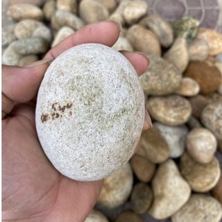 Đá kỳ tế bào chết ( đá rửa mặt )