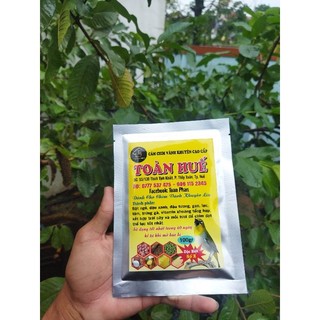 Cám chim vành khuyên toàn huế số 2