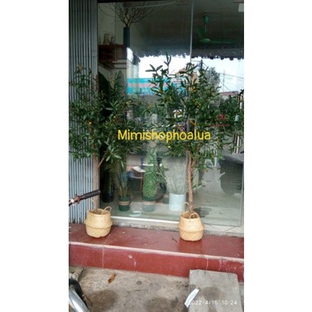 Gốc Cây Giả, Thân Cây Giả - cao 80- 120 cm- Làm cây giả. trang trí nhà cửa.