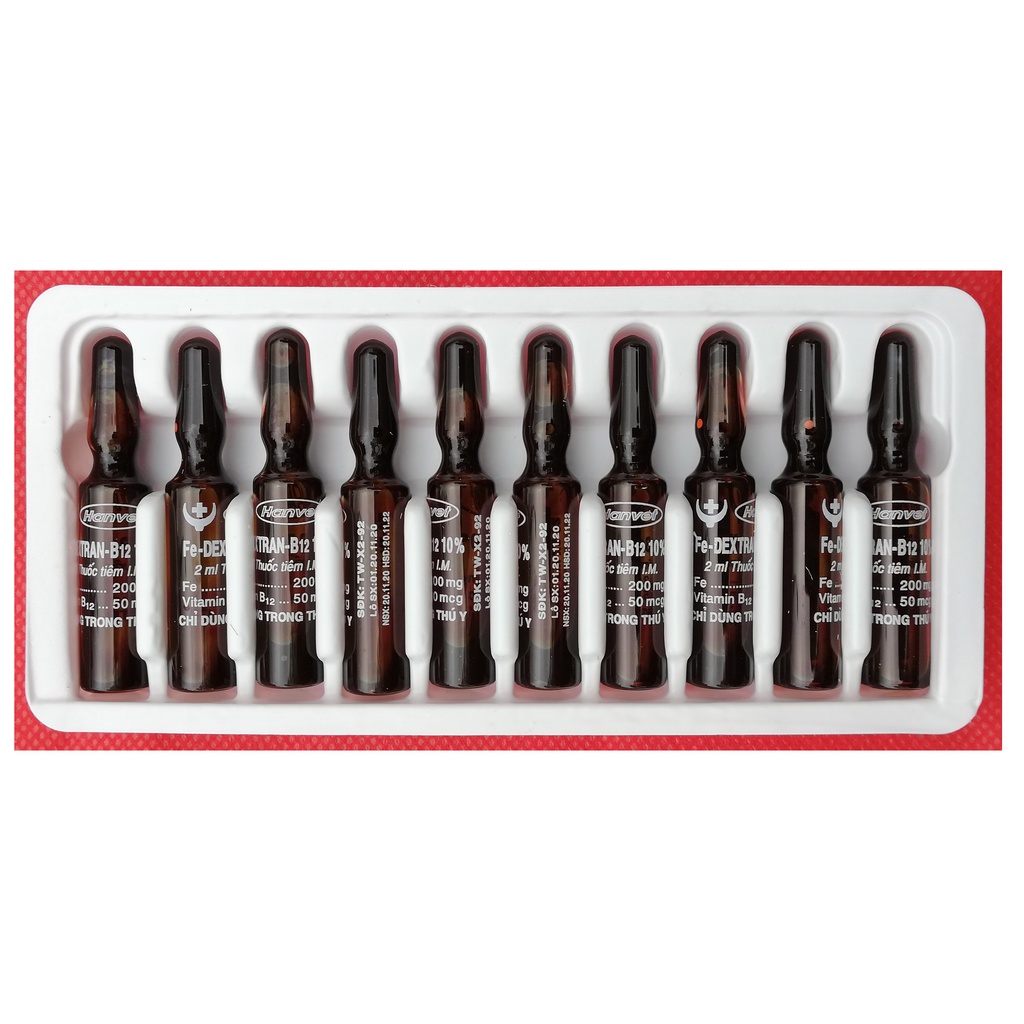 1 vỉ 10 ống Sắt 2 ml Fe-Dextran-B12 10% Dùng cho lợn con, lợn nái, trâu, bò, ngựa, dê, gia súc và chó mèo thiếu máu