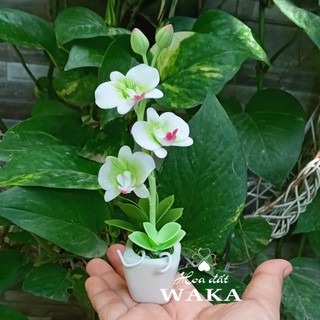 Hoa Đất Sét Mini- Lan Hồ Điệp Mini 12cm