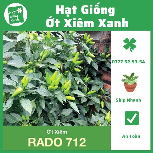 Hạt giống ớt xiêm Rado 712- 0,2 gram