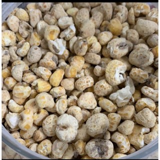Sỉ 1 bịch 5kg Ngô Gừng Thơm ngon vị Ngọt