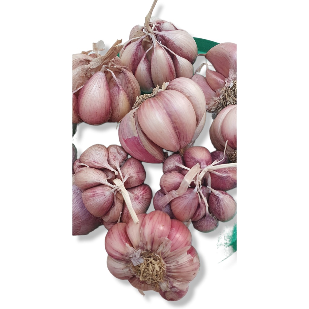 1 kg TỎI TÍM Khô to đặc sản Lý Sơn chuẩn vị tỏi Bắc - Giao nhanh toàn quốc