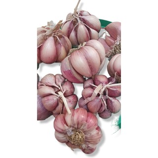 1 kg TỎI TÍM Khô to đặc sản Lý Sơn chuẩn vị tỏi Bắc - Giao nhanh toàn quốc