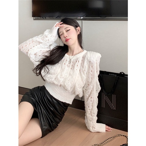 Áo Len Dài Tay Thiết Kế Mới Thời Trang Dành Cho Mùa Thu