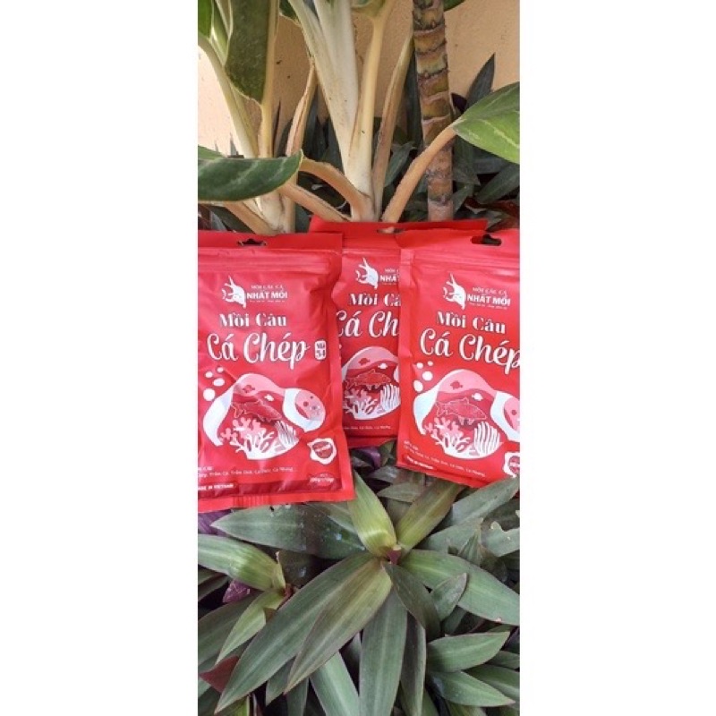 Mồi câu Nhất mồi các loại câu cá