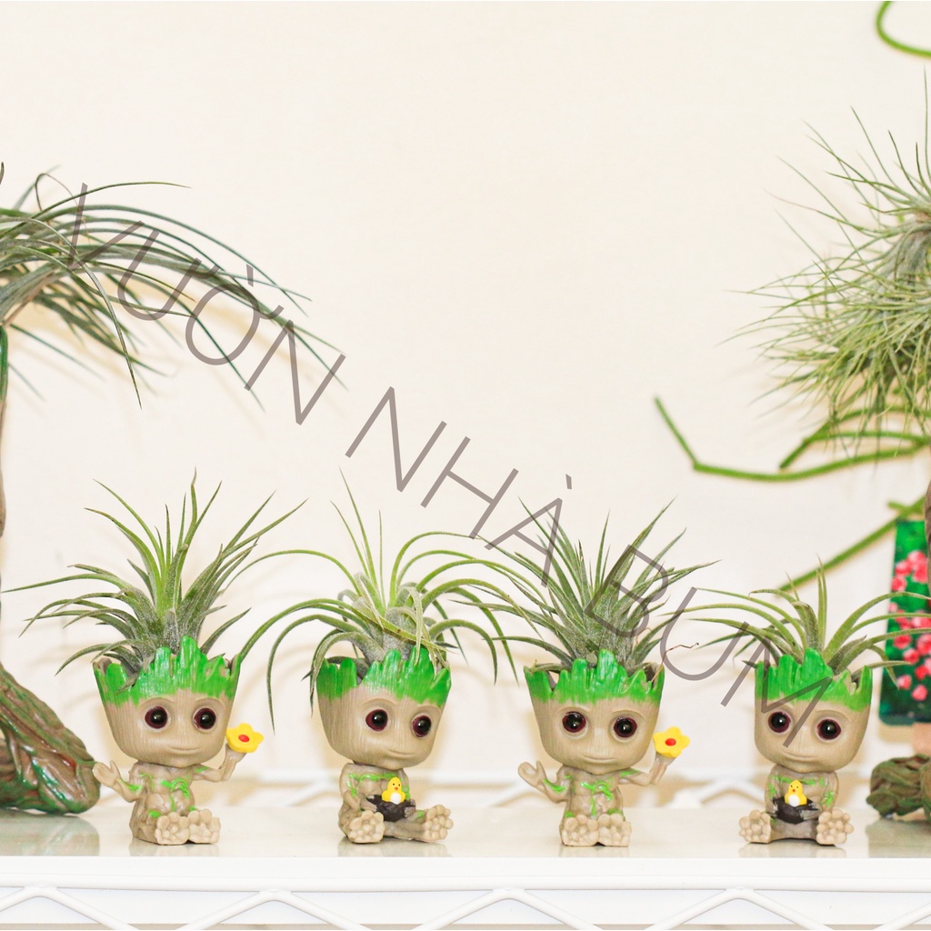 SET CÂY KHÔNG KHÍ 'I AM GROOT'