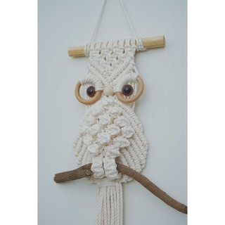 Cú Mèo Macrame Trang Trí