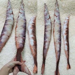 gấu bông con cá voi cá heo cá mập
