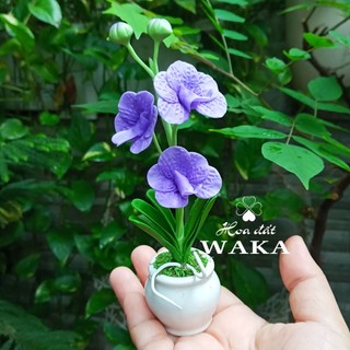 Hoa Đất Sét Mini- Lan Vanda 12cm