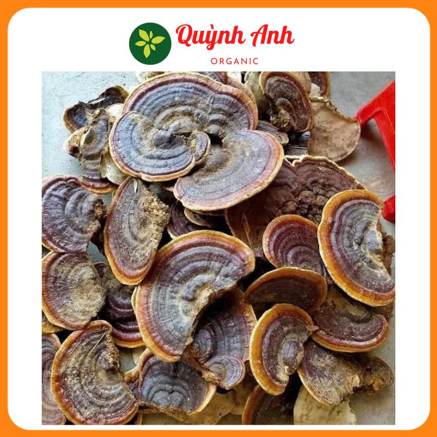 Nấm linh chi rừng xắt lát (thái lát) và nguyên miếng hàng chuẩn 1kg (Quỳnh Anh Organic) LCR 01