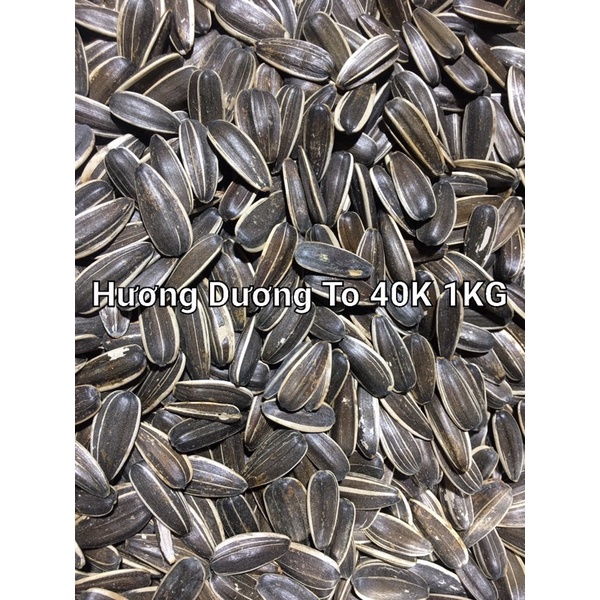 hướng dương to 40k 1kg