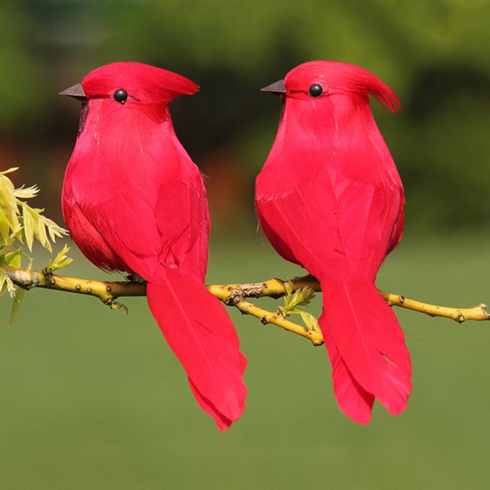 Kẹp Chim Nhân Tạo Bằng Xốp Sống Động Trang Trí Nhà Cửa Sân Vườn