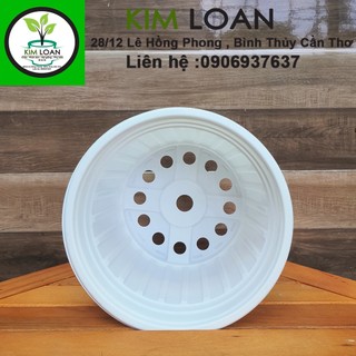Combo 20 chậu vành cứng C6 23x16cm