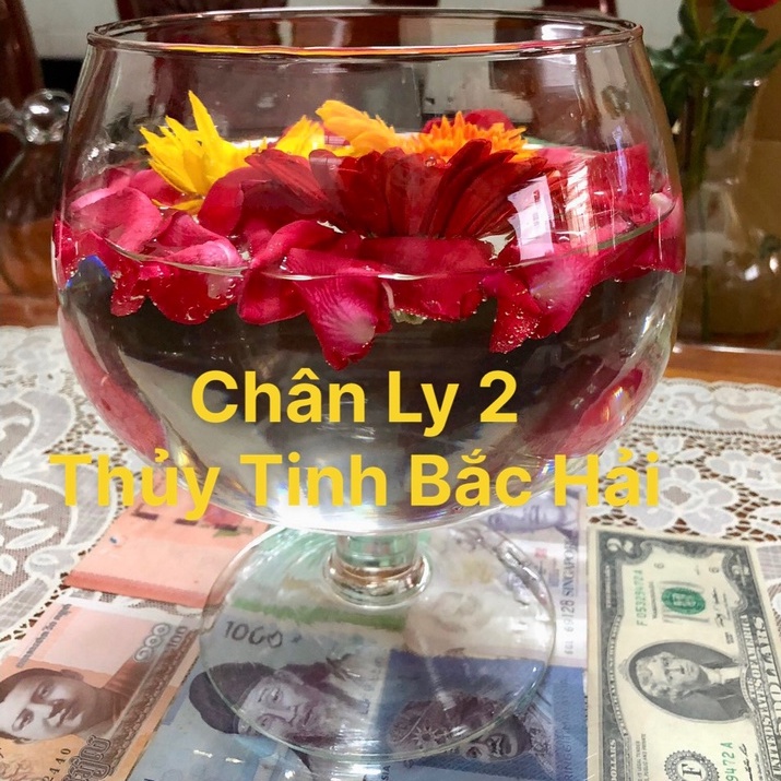 Mẫu Chân Ly CL2, CL3, CL4 - Bầu Bèo, Thố, Chân Ly , Chậu , Bễ , Hồ Thủy Tinh Trồng Cây Thủy Sinh Và Nuôi Cá