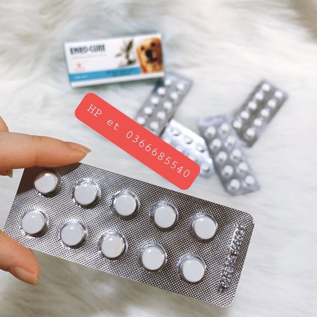 Tr.ị viêm tai ngoài chó mèo thú cảnh ENRO CỦRE- t..rị nhiễm khuẩ.n đường tiêu hóa - viêm da