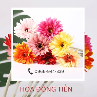 [ẢNH SHOP CHỤP] HOA ĐỒNG TIỀN Hoa giả Hoa lụa trang trí quán cafe, phòng khách, làm việc, chụp hình