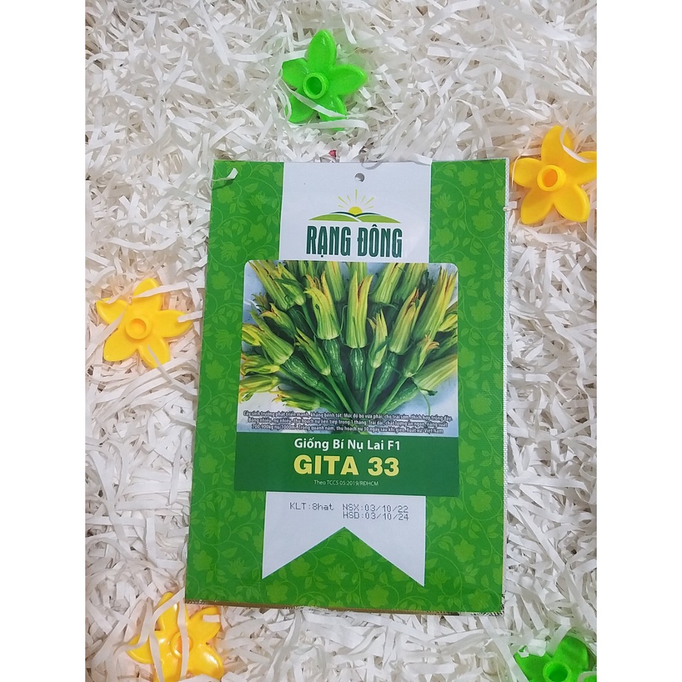 Hạt Giống Bí Nụ lai F1 Gita 33 ( 8 Hạt)