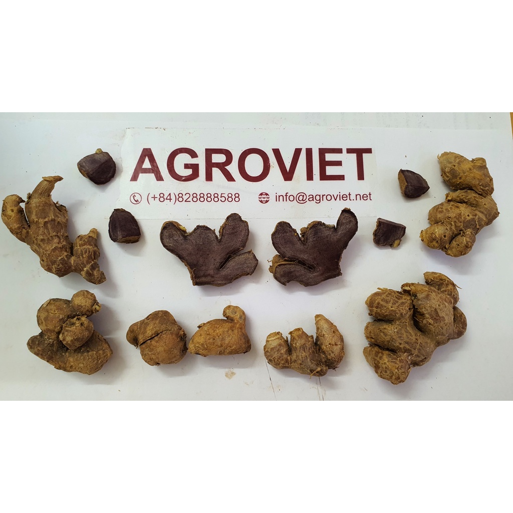Gừng đen tươi  hàng loại 1 xuất khẩu, cân dư
