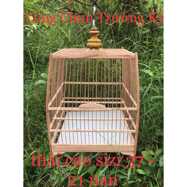 Khung lồng chim chào mào, thái đấu, tự ráp rễ dàng