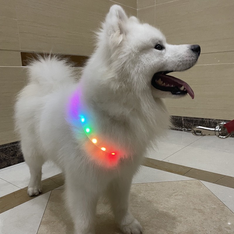 Vòng Cổ LED Phát Sáng Cho Thú Cưng Chó Mèo, Tránh Lạc Mất Vào Ban Đêm Dạ Quang Dễ Thương
