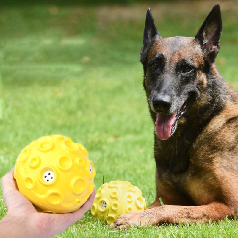 Đồ Chơi Tương Tác Với Chó Hình Quả Bóng Có Tiếng Kêu