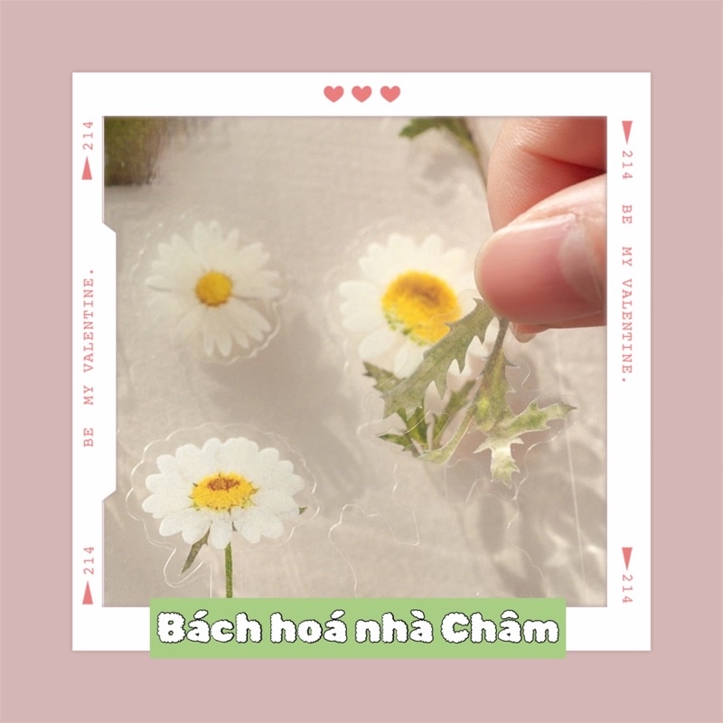 Miếng Dán Trang Trí Hình Hoa Độc Đáo Xinh Xắn