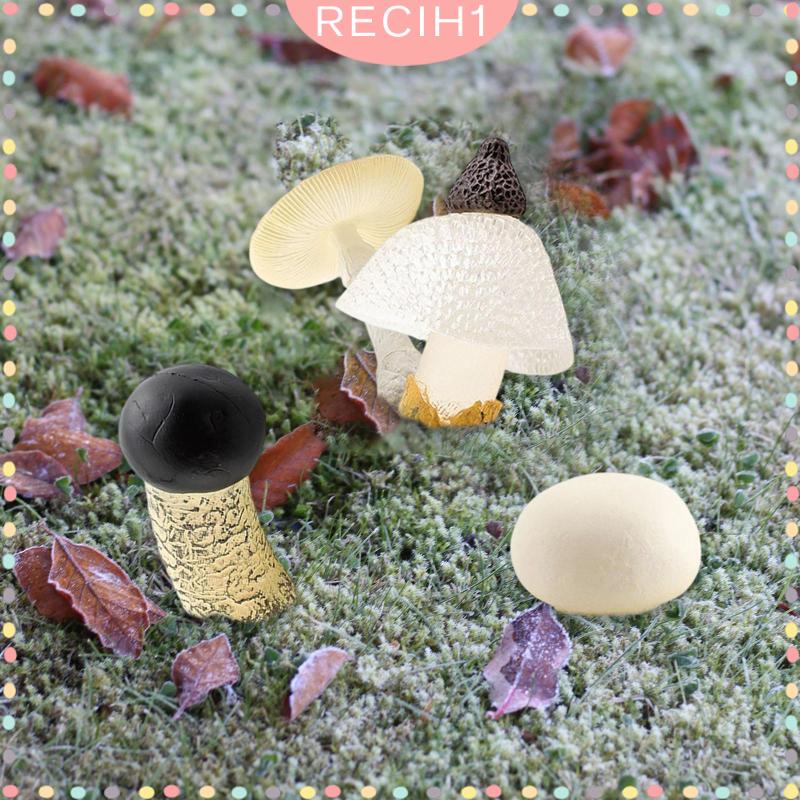 Bộ 4 Mô Hình Nấm Trang Trí Cho Ngày Và Đêm