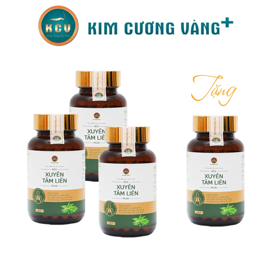 Combo 3 Hộp Xuyên Tâm Liên Kim Cương Vàng - Tặng 1 Hộp