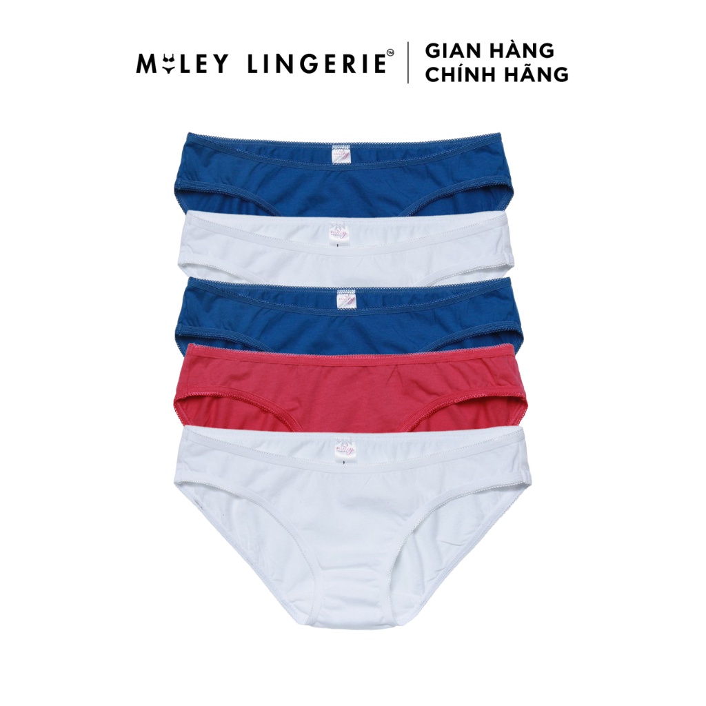 Combo 5 Quần Lót Cotton Viền Ren Miley Lingerie BCS00