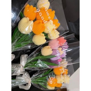 Hoa Len Tulip