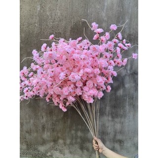 a đào râu đẹp combo 10 cành