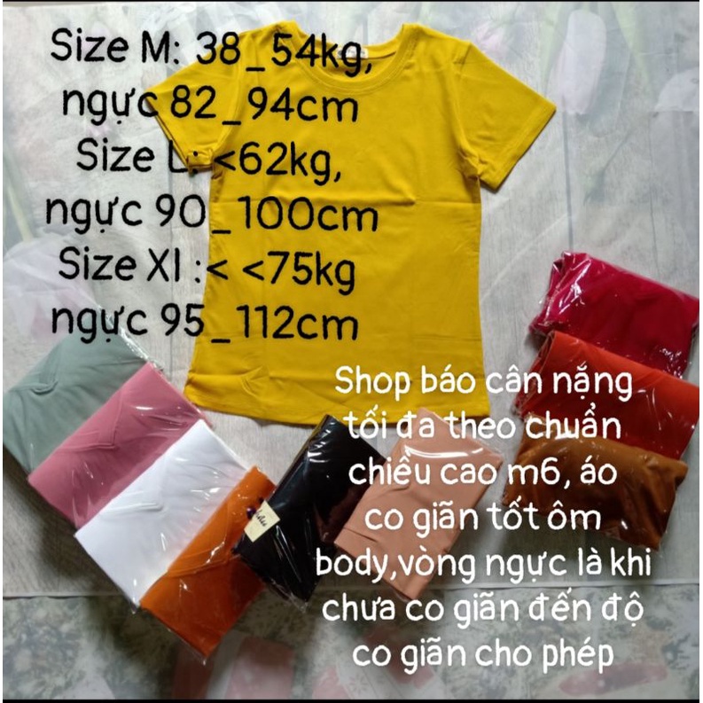 Áo thun ôm tay ngắn cổ tròn có Size đại đến 75kg chất cotton co giãn ôm dáng body giá rẻ
