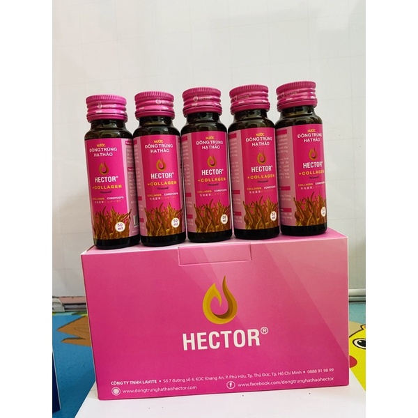 Hector collagen