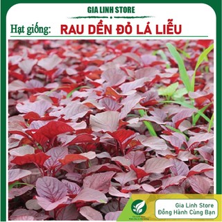 Hạt giống rau dền đỏ lá nhọn 20gr dễ trồng mau thu hoạch