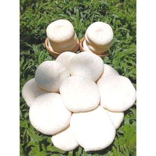 Bánh bao sữa tuổi thơ (100g/6 cái/bịch)