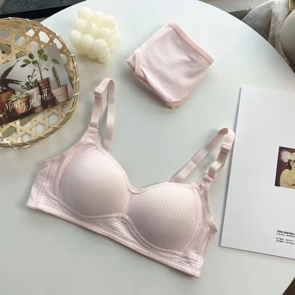 Áo Lót Form Học Sinh -Mút Mỏng Chất Cotton Gân Tăm Mềm Mịn - Không Gọng Nữ- chippie AL22