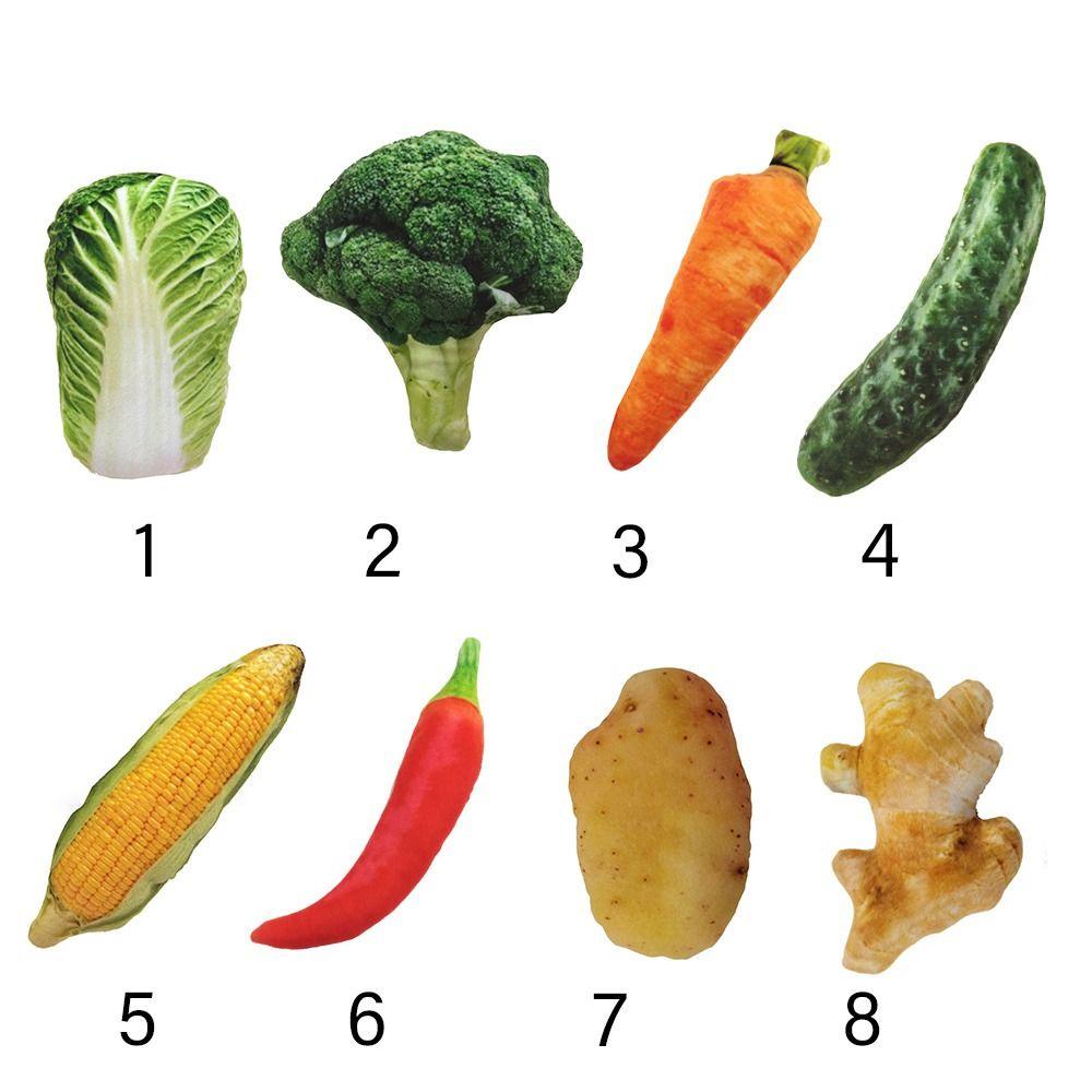 Đồ Chơi Nhai Gặm Hình Chó Pug Cỡ Nhỏ / Vừa / Nhỏ Dành Cho Chó Mèo SUYO