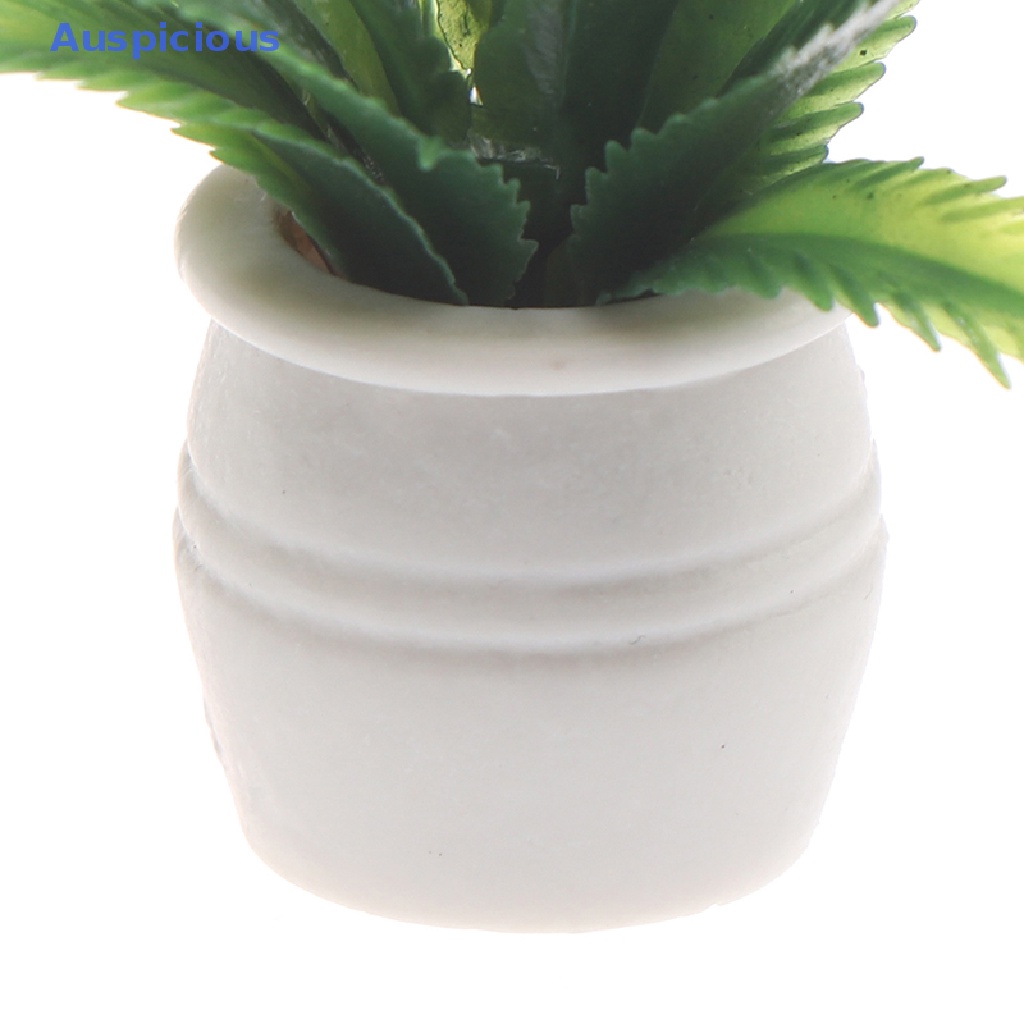 Mô Hình Chậu Cây Xanh Trang Trí Nhà Búp Bê Tỉ Lệ 1: 12